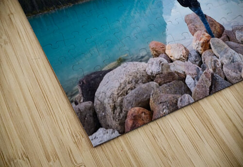The Stillness Paradisaical puzzle