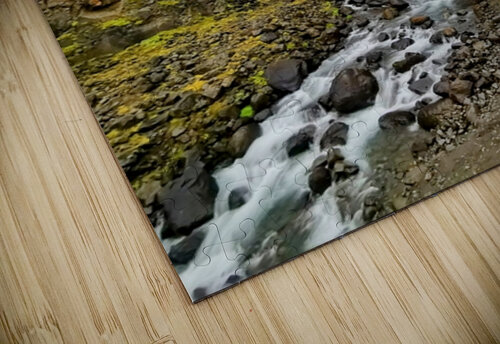 The Rush  Paradisaical puzzle