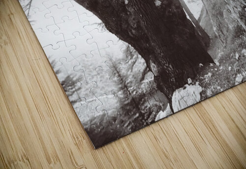 The Silence  Paradisaical puzzle