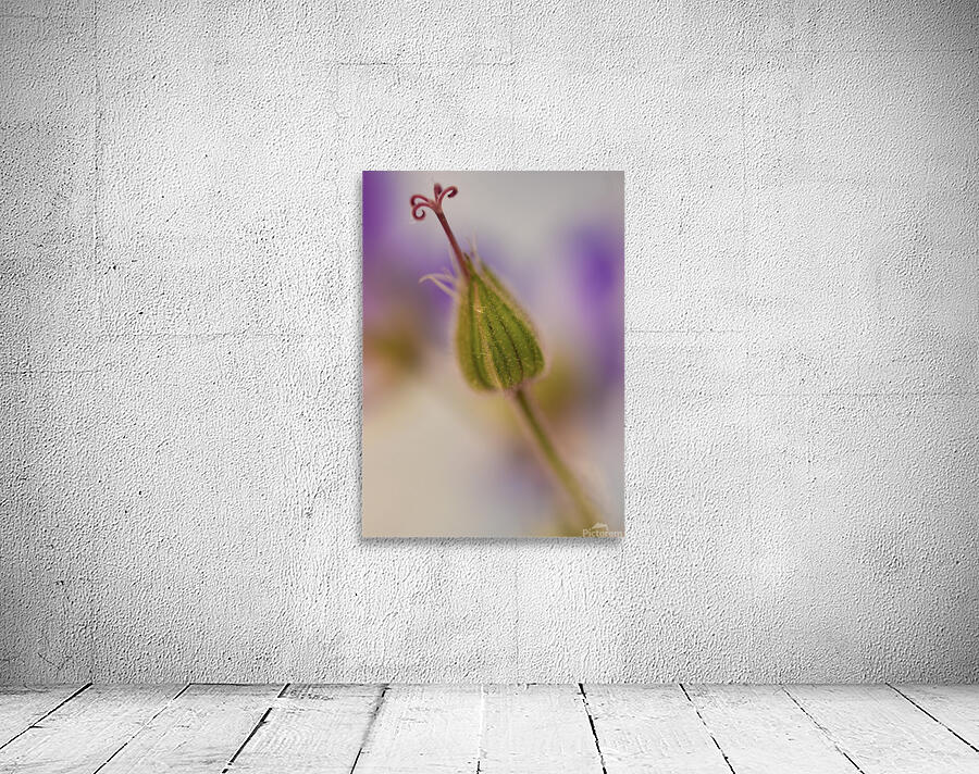 The Bloom Wall Preview