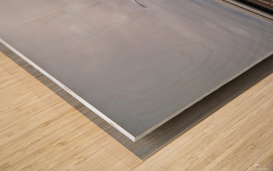 Milwaukee Calatrava 7121 Wood print