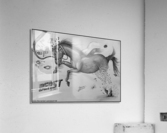 Horse Visual Art Acrylic Print