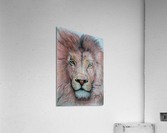 Lion Wall Art Acrylic Print