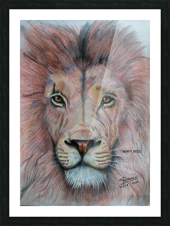 Lion Wall Art Picture Frame print