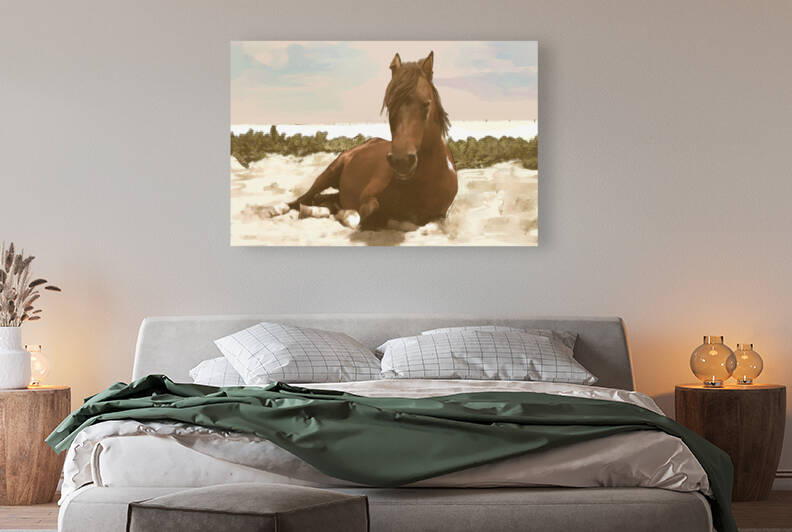 WILD HORSE LYING DOWN by Donna Johnson