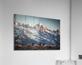 Teton Postcard Acrylic Print