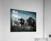 American Bison Acrylic Print