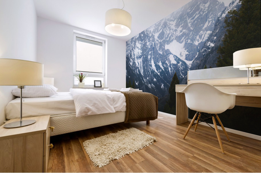 Grand Tetons Mural print