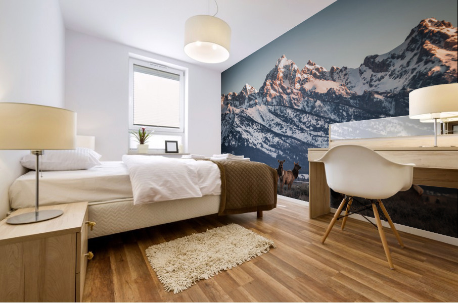 Teton Postcard Mural print