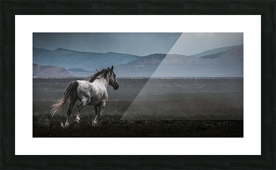 Onaqui Wild Horses Picture Frame print