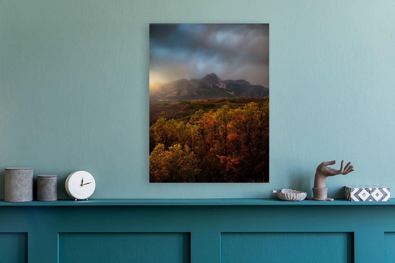 Snowbasin Fall Reproduction