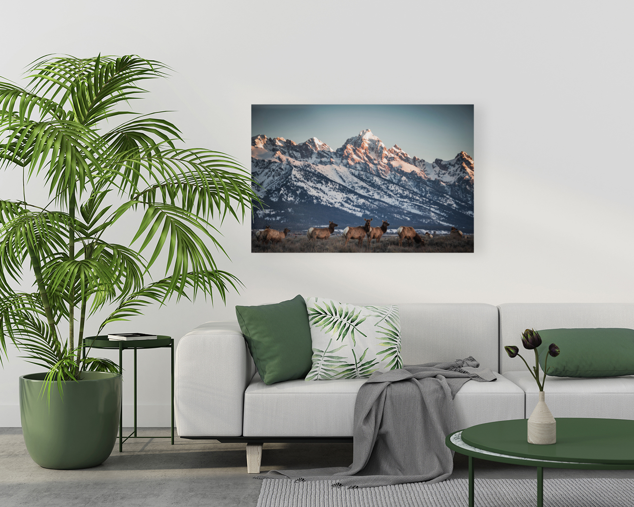 Teton Postcard Reproduction