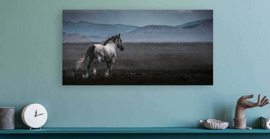 Onaqui Wild Horses Reproduction