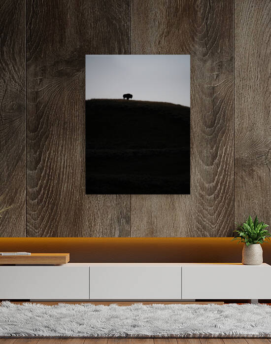 Vantage Point Reproduction