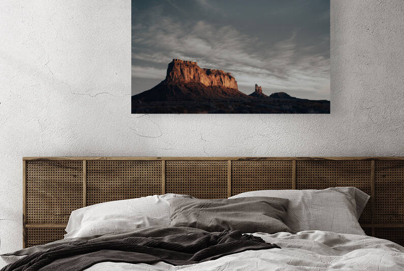 Southern Utah Backbone Reproduction
