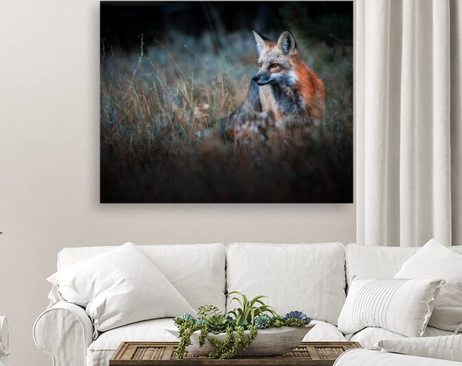 Foxy Reproduction