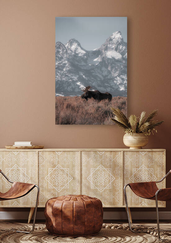 Teton Moose Reproduction