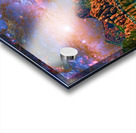 SPACE WALK 2 Acrylic print