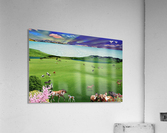 HORSE DREAM Acrylic Print