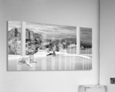 ASPEN CATS - bw Acrylic Print