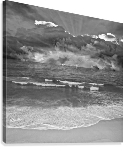 BLUE WET 2 -  bw Canvas Print