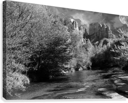 CATHEDRAL ROCK - bw Canvas Print
