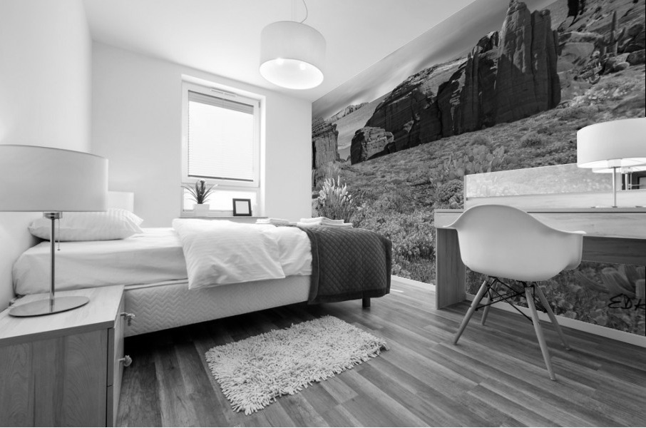 DESERT FALLS 3 - bw Mural print