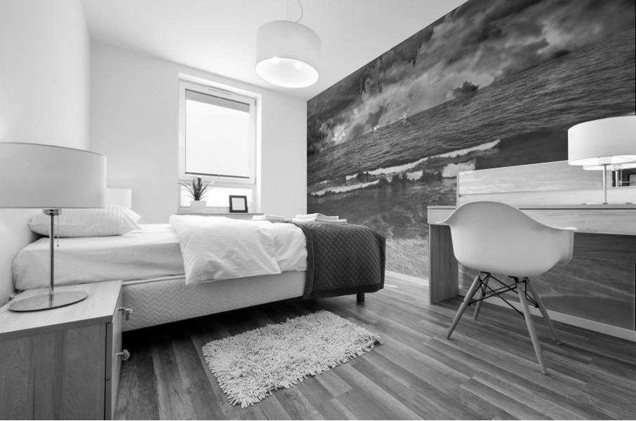 BLUE WET 2 -  bw Mural print