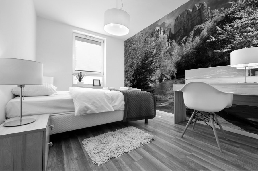 CATHEDRAL ROCK - bw Mural print