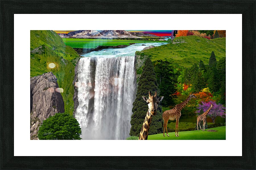  Fine Art print