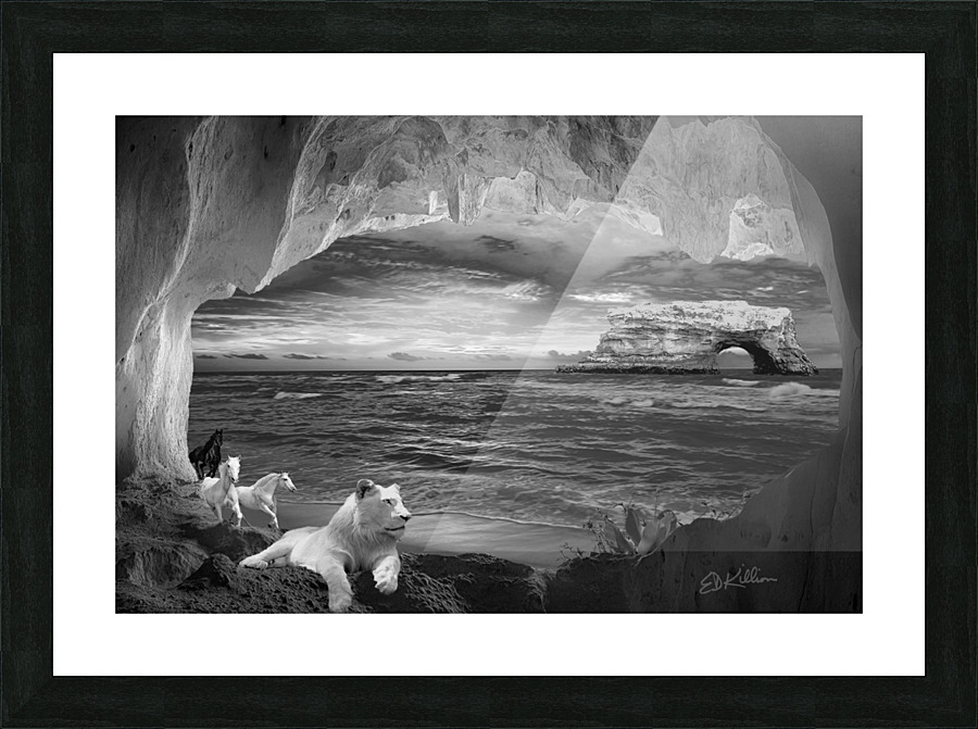  Fine Art print