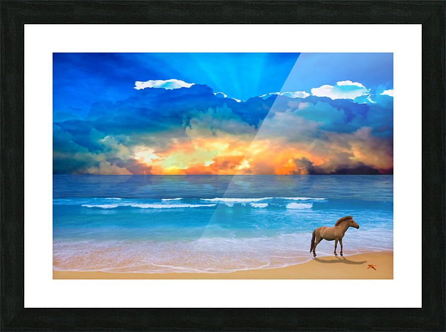  Fine Art print