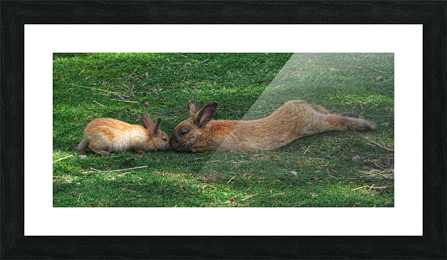 UNCONDITIONAL Picture Frame print