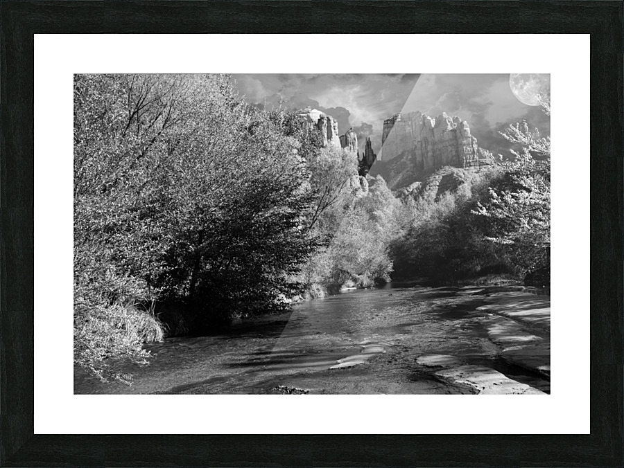  Fine Art print