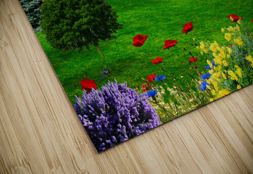 COLORFUL E D Killion puzzle