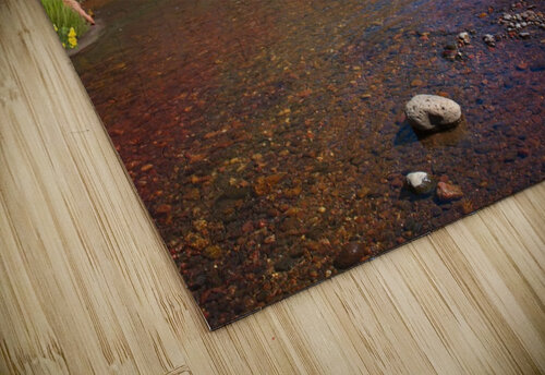 ROCK RIVER E D Killion puzzle