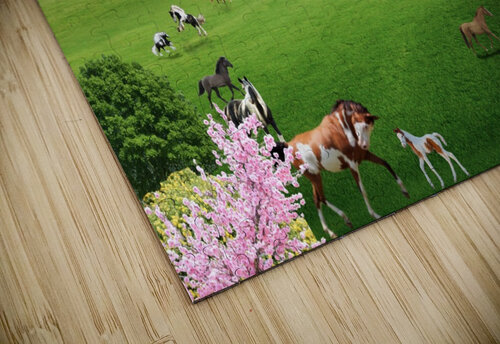 HORSE DREAM E D Killion puzzle
