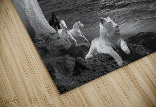 CAVE BEACH - bw E D Killion puzzle