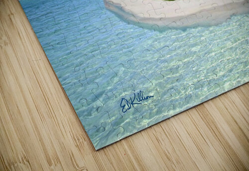 ISLAND NIGHT E D Killion puzzle