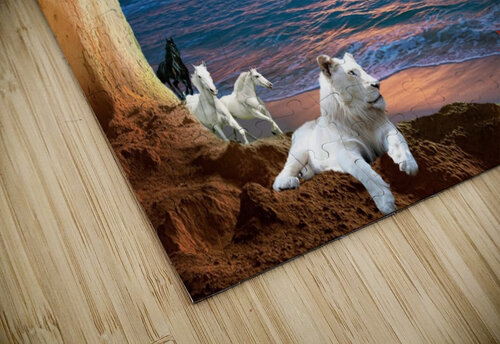 CAVE BEACH E D Killion puzzle