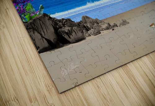 MOON WALK E D Killion puzzle