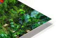 GREEN RIVER HD Metal print
