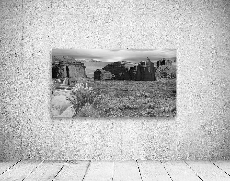DESERT FALLS 3 - bw Wall Preview