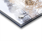  WINTER SCENE Acrylic print