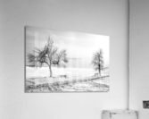 WAITING FOR SPRING Acrylic Print