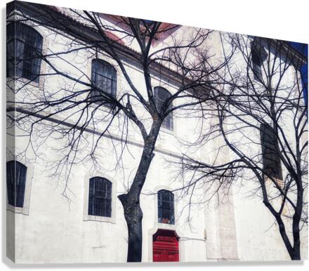 WHITE CHURCH Canvas Print