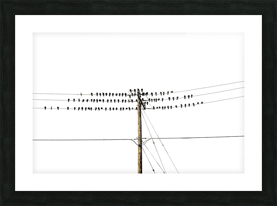 ON LINE Picture Frame print