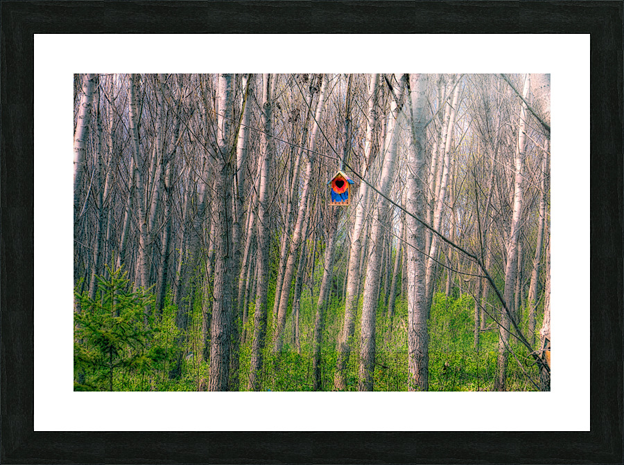 BIRDHOUSE Picture Frame print