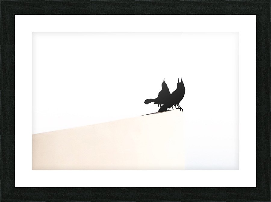 MORNING HAS BROKEN Picture Frame print
