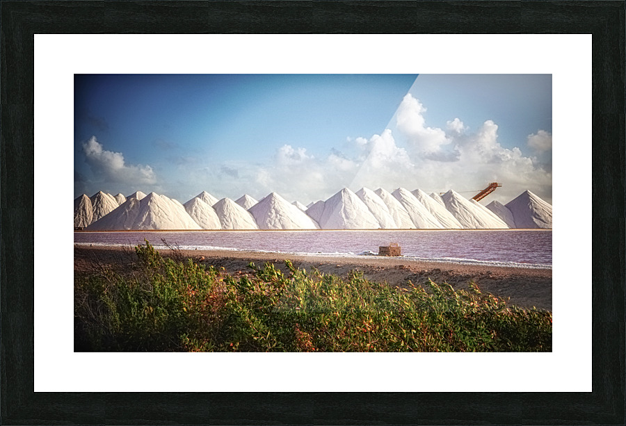 SALT LAKE Picture Frame print